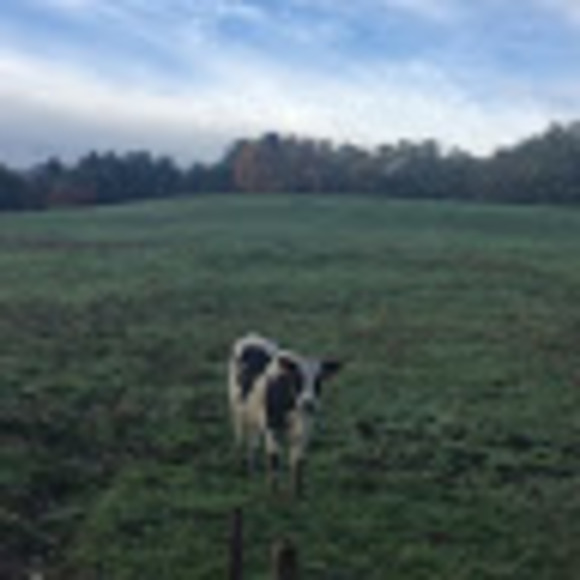 Meet your Posher, Wendy - Picture 1 of 1